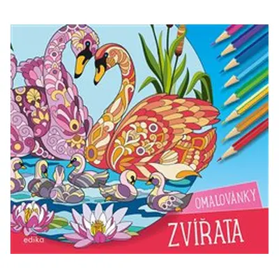 Zvířata – omalovánky - Andrea Brázdová