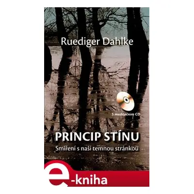 Princip stínu + CD - Ruediger Dahlke