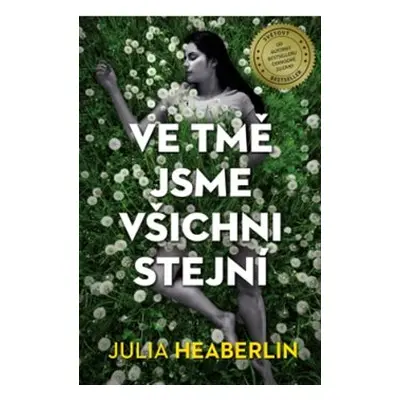 Ve tmě jsme všichni stejní - Julia Heaberlin