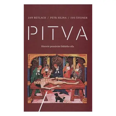 Pitva - Ivo Šteiner, Petr Hejna, Jan Betlach