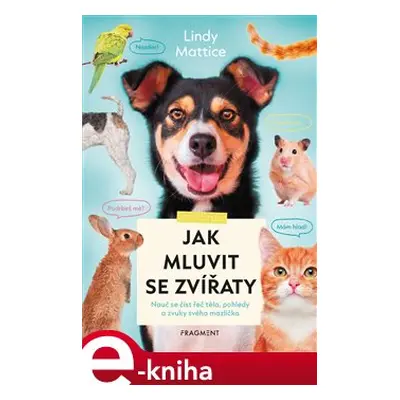 Jak mluvit se zvířaty - Lindy Mattice