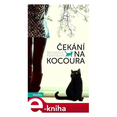 Čekání na kocoura - Michaela Klevisová