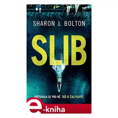 Slib - Sharon J. Bolton