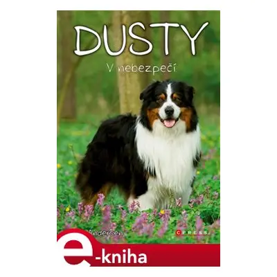 Dusty: V nebezpečí - Jan Andersen