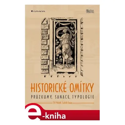 Historické omítky - Jiří Hošek, Ludvík Losos