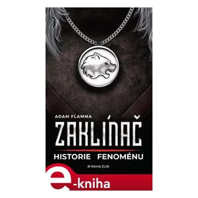 Zaklínač – historie fenoménu - Adam Flamma