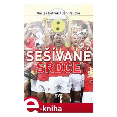 Sešívané srdce - Jan Palička, Michal Šula, Václav Petrák