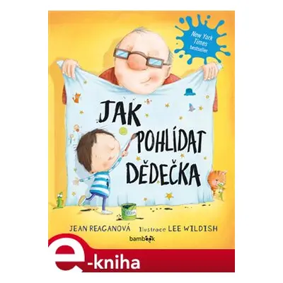 Jak pohlídat dědečka - Jean Reaganová