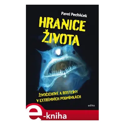 Hranice života - Pavel Pecháček