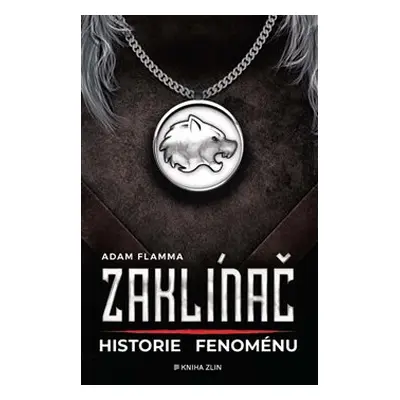 Zaklínač – historie fenoménu - Adam Flamma