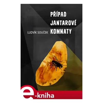 Případ Jantarové komnaty - Ludvík Souček