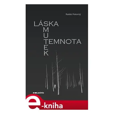 Láska, smutek, temnota - Radek Pokorný