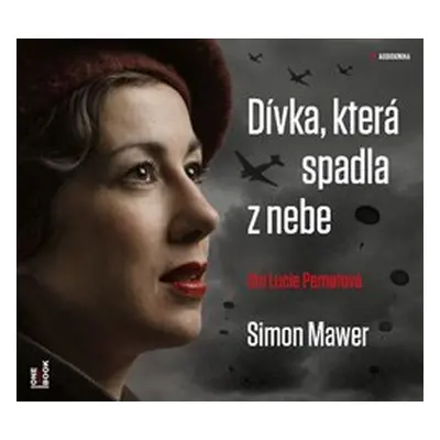 Dívka, která spadla z nebe - Simon Mawer