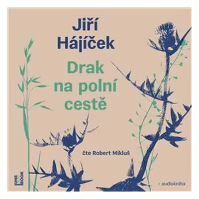 Drak na polní cestě - Jiří Hájíček