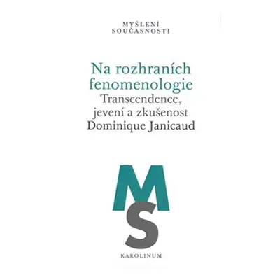 Na rozhraních fenomenologie - Dominique Janicaud