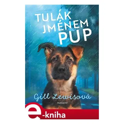 Tulák jménem Pup - Gill Lewisová