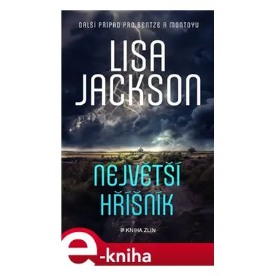 Největší hříšník - Lisa Jackson