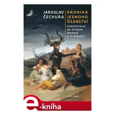 Kronika jednoho šílenství - Jaroslav Čechura