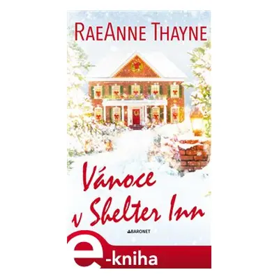 Vánoce v Shelter Inn - RaeAnne Thayne