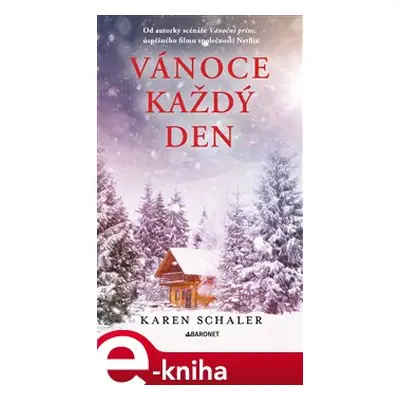 Vánoce každý den - Karen Schaler