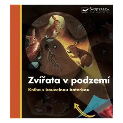 Zvířata v podzemí Kniha s kouzelnou baterkou - Daniel Moignot