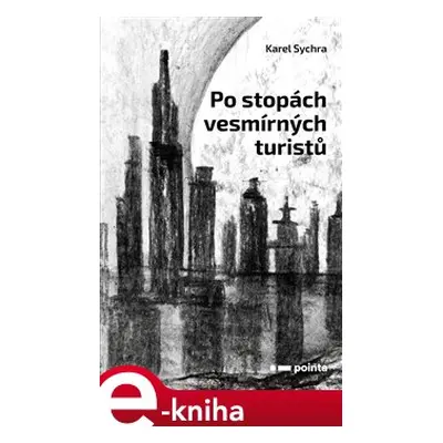 Po stopách vesmírných turistů - Karel Sychra