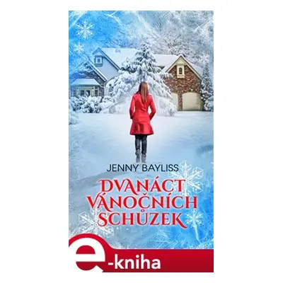 Dvanáct vánočních schůzek - Jenny Bayliss