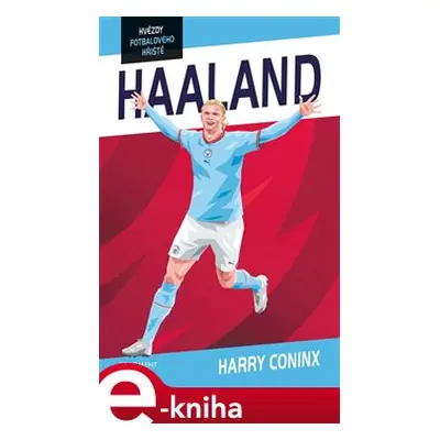 Hvězdy fotbalového hřiště - Haaland - Harry Coninx