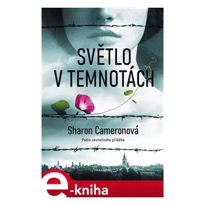 Světlo v temnotách - Sharon Cameronová