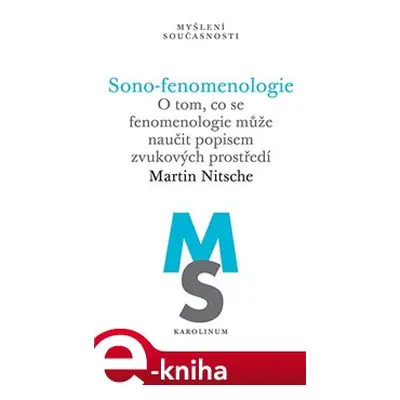 Sono-fenomenologie - Martin Nitsche