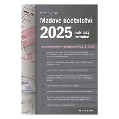 Mzdové účetnictví 2025 - kolektiv, Václav Vybíhal