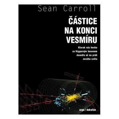 Částice na konci vesmíru - Sean Carrol