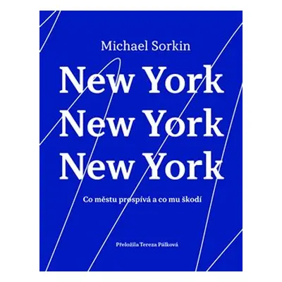 New York, New York, New York - Michael Sorkin