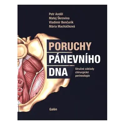 Poruchy pánevního dna - Petr Anděl, Matěj Škrovina, Vladimír Benčurik, Mária Macháčková