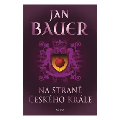 Na straně českého krále - Jan Bauer