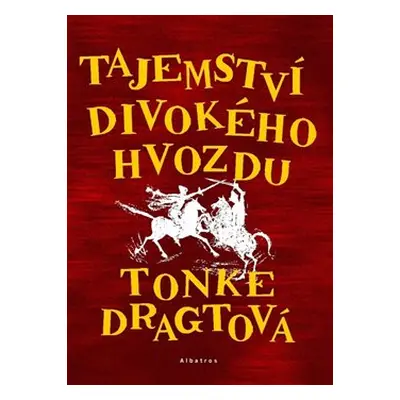 Tajemství Divokého hvozdu - Tonke Dragtová