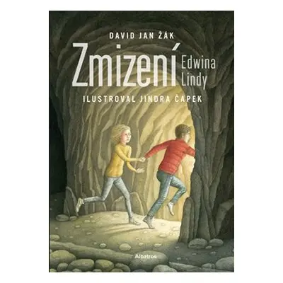 Zmizení Edwina Lindy - David Jan Žák