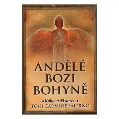 Andělé bozi bohyně - Toni Carmine Salerno