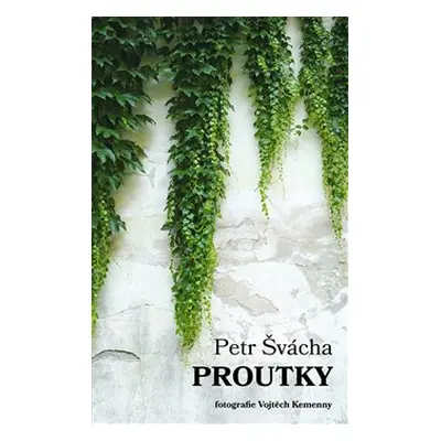 Proutky - Petr Švácha