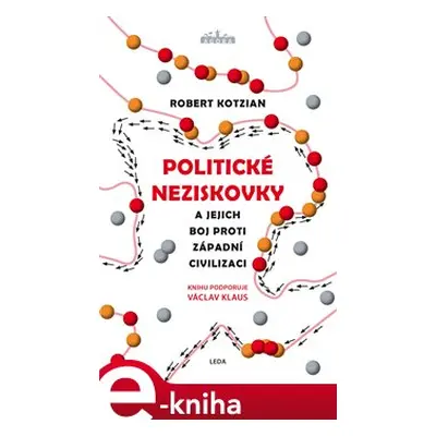 Politické neziskovky - Robert Kotzian