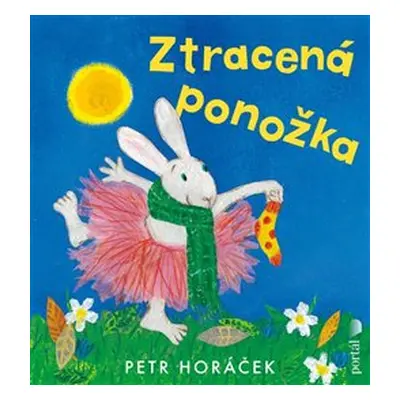 Ztracená ponožka - Petr Horáček