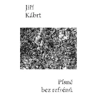 Písně bez refrénů - Jiří Kábrt