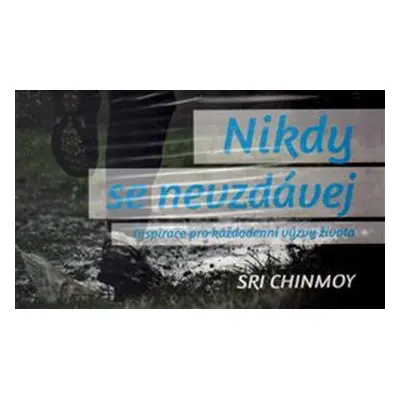 Nikdy se nevzdávej - Inspirace pro každodenní výzvy života - Sri Chinmoy