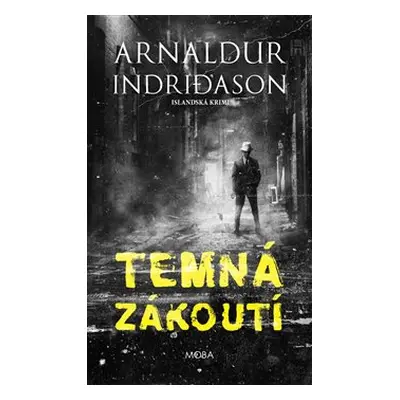 Temná zákoutí - Arnaldur Indridason