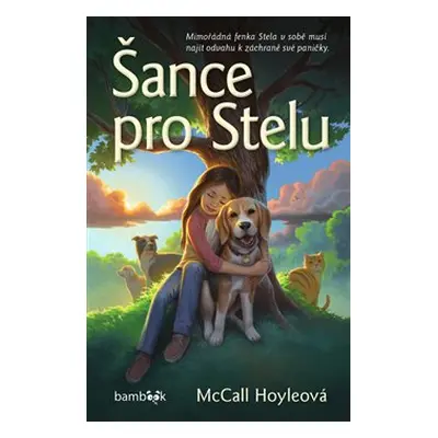 Šance pro Stelu - McCall Hoyleová