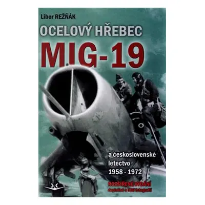 Ocelový hřebec Mig-19 - Libor Režňák