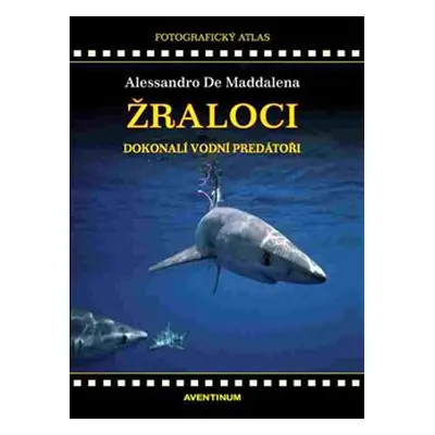 Žraloci, dokonalí vodní predátoři - Alessandro De Maddalena