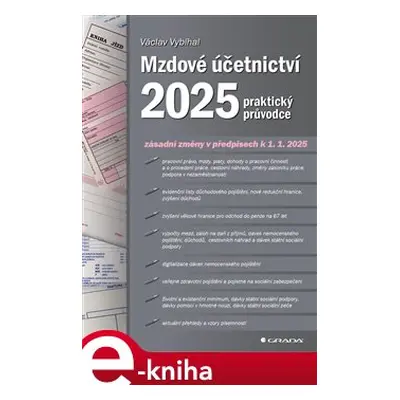 Mzdové účetnictví 2025 - kolektiv, Václav Vybíhal