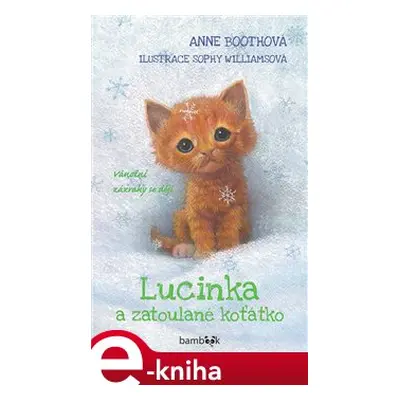 Lucinka a zatoulané koťátko - Anne Bootheová