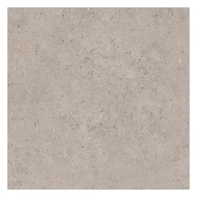 Dlažba Pastorelli Biophilic grey 60x60 cm mat P009455